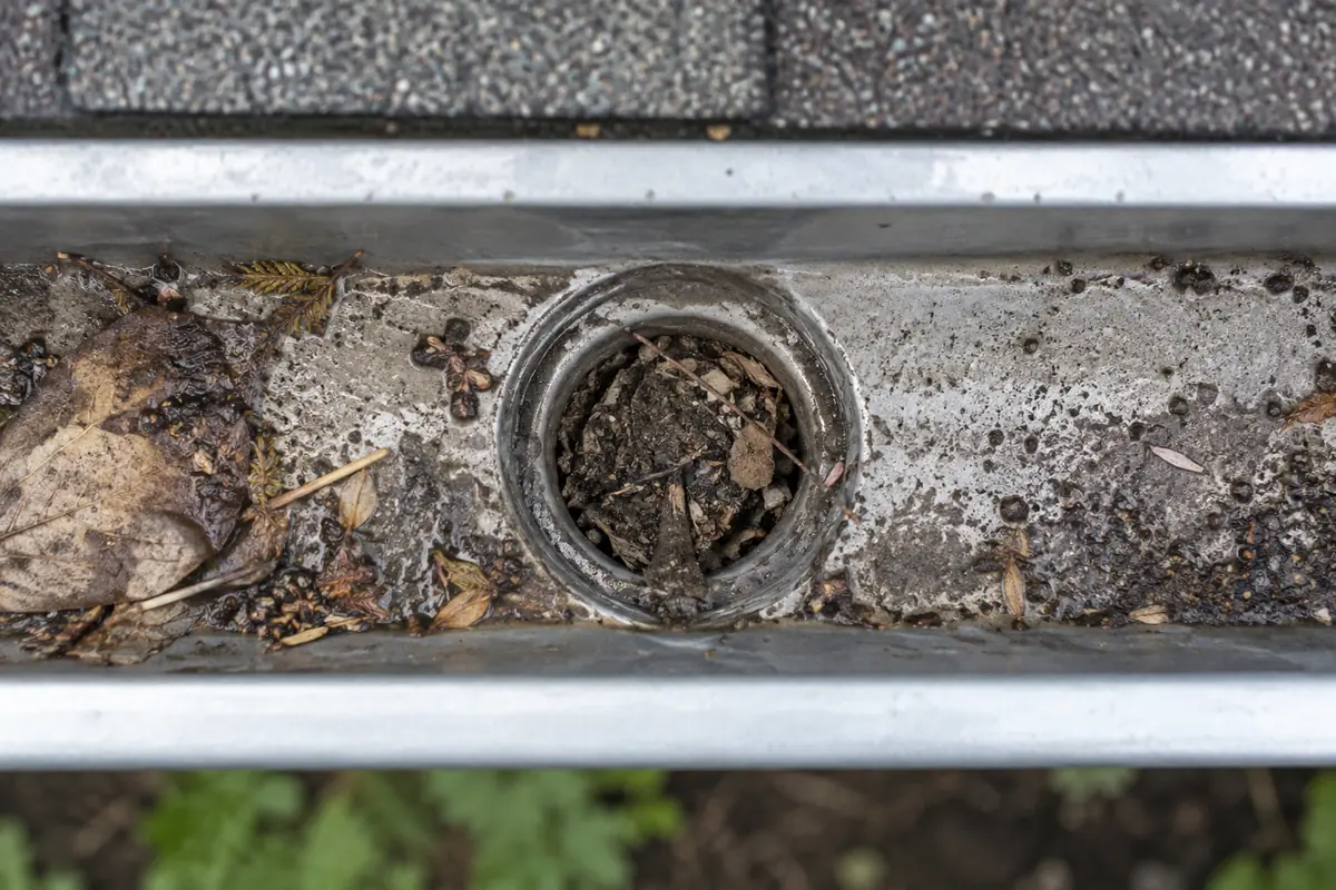 Debris restricting an eavestrough outlet